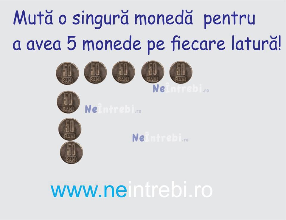 diverse 2 - 3795784798346520974591468736485n.jpg